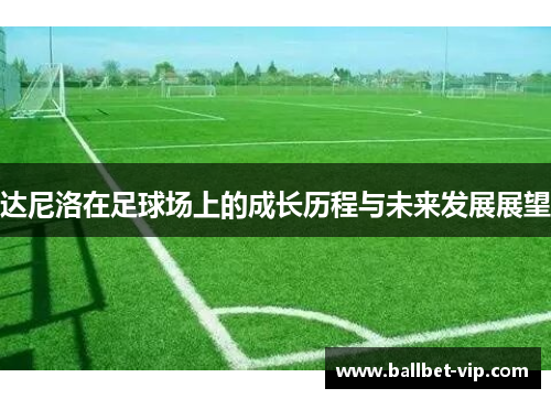 达尼洛在足球场上的成长历程与未来发展展望